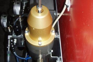 (3) Goldregler (3) Goldregler