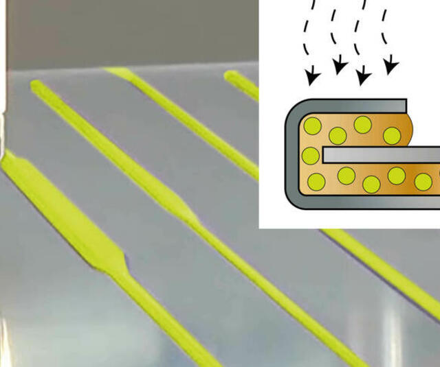 Hemming_home Hemming_home